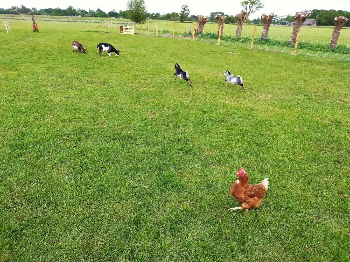 De Vrije Wei Broekland (Gelderland) Zewnętrze zdjęcie